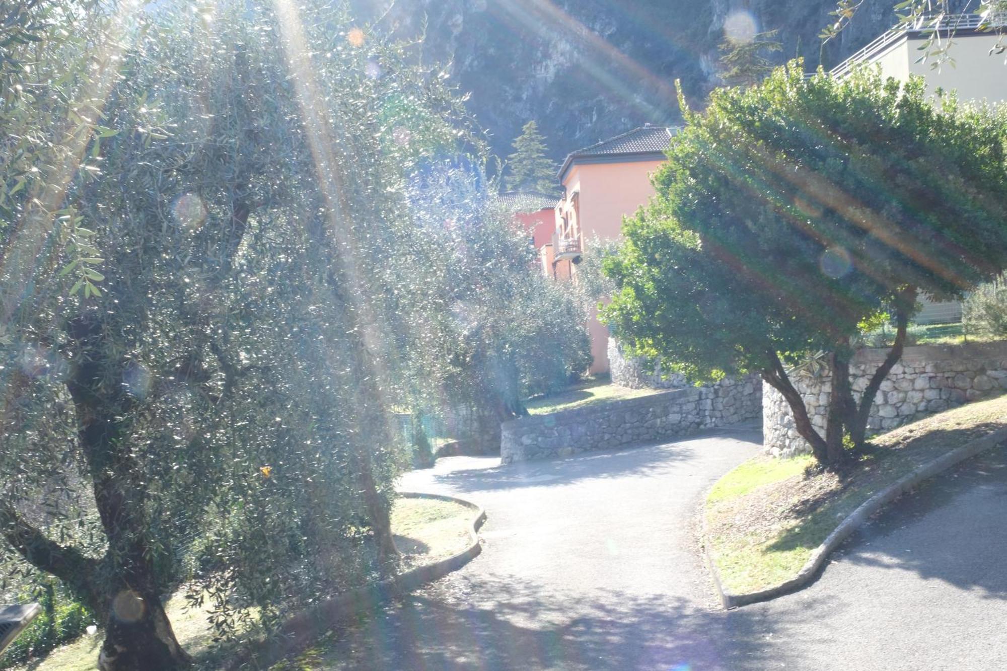Casa Segantini - Panorama Pool Apartment Gavazzo Nuova Esterno foto