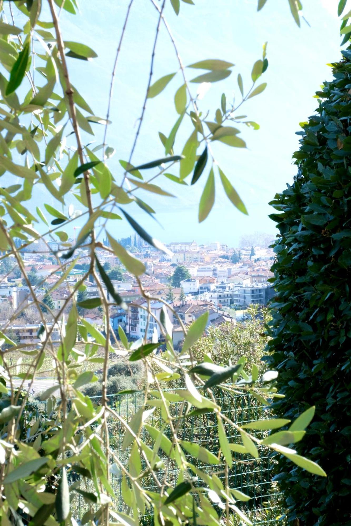 Casa Segantini - Panorama Pool Apartment Gavazzo Nuova Esterno foto