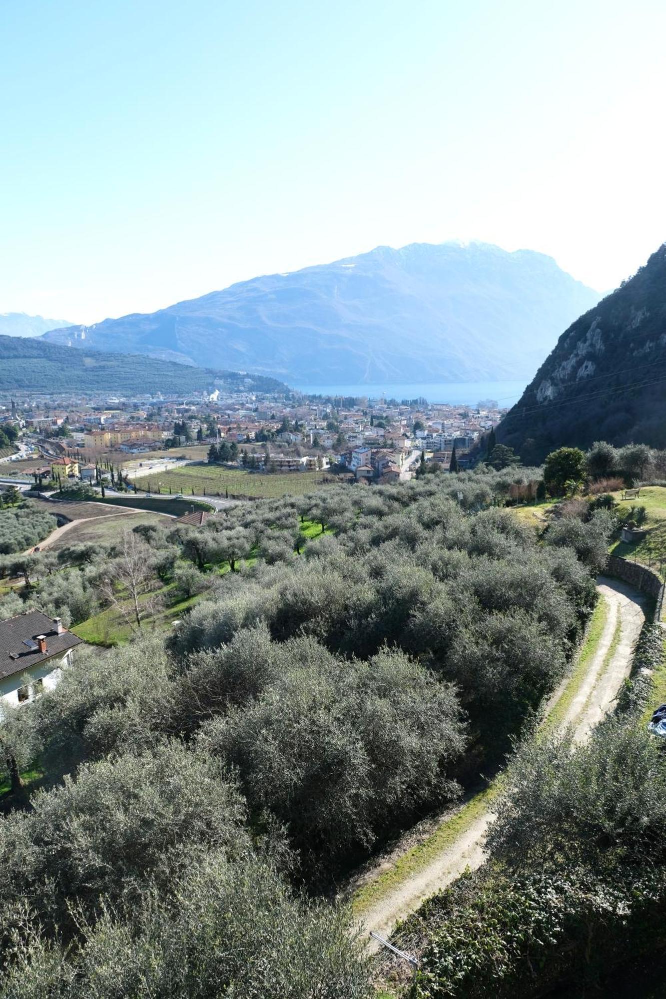 Casa Segantini - Panorama Pool Apartment Gavazzo Nuova Esterno foto